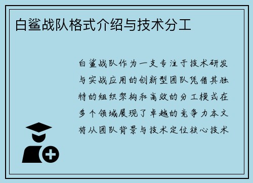 白鲨战队格式介绍与技术分工
